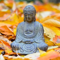 Statuette de Bouddha, méditation automnale. 🧘🏽🍁